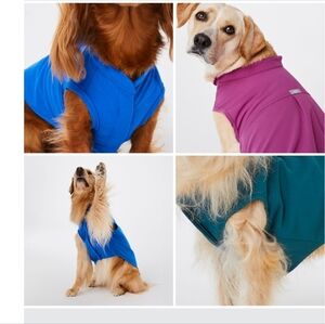 NWT Rafaela DOG top 3x
